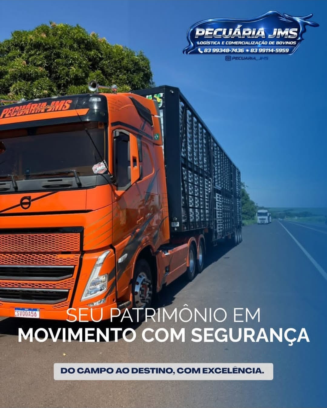 Caminhão Pecuária JMS